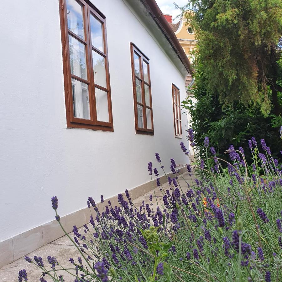 Corte Apartman Папа Экстерьер фото
